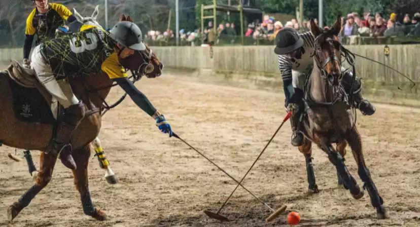 Druids Lodge Polo Club Christmas Parties 2025