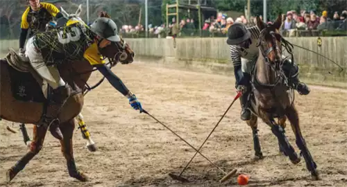 Druids Lodge Polo Club Christmas Parties 2025