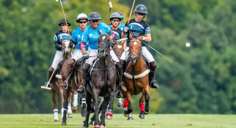 Druids Lodge Polo Club Christmas Parties 2025