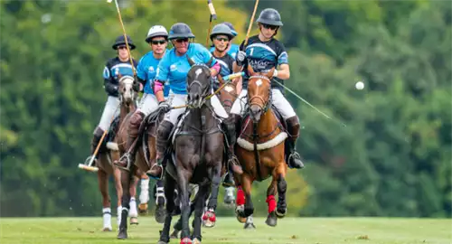 Druids Lodge Polo Club Christmas Parties 2025