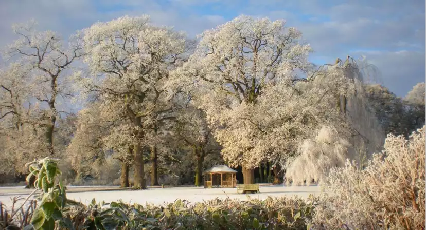 Rookery Hall Hotel & Spa Christmas Parties 2025