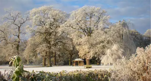 Rookery Hall Hotel & Spa Christmas Parties 2025