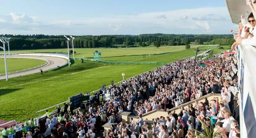 Towcester Racecourse Christmas Parties 2025