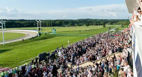 Towcester Racecourse Christmas Parties 2025