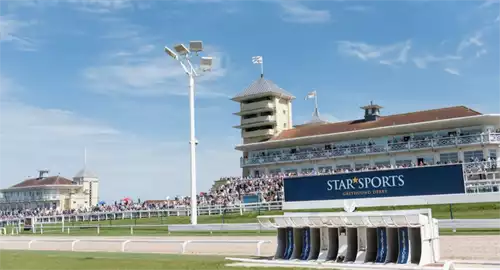 Towcester Racecourse Christmas Parties 2025