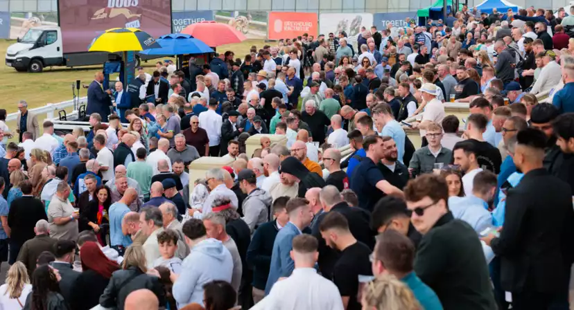 Towcester Racecourse Christmas Parties 2025