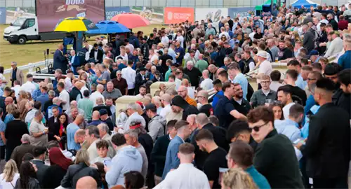 Towcester Racecourse Christmas Parties 2025