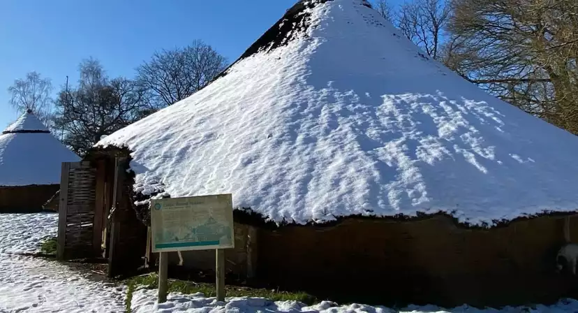 Celtic Harmony Camp Christmas Parties 2025