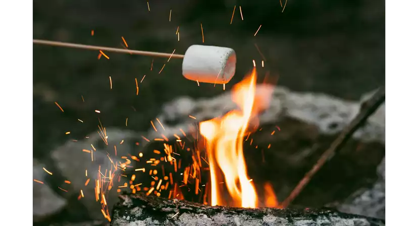 Celtic Harmony Camp Christmas Parties 2025