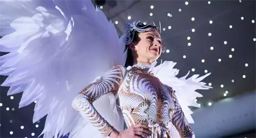 Barleylands Farm Park with Best Parties Ever Christmas Parties 2026