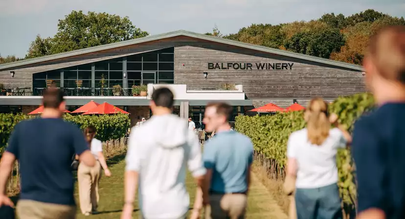 Balfour Winery