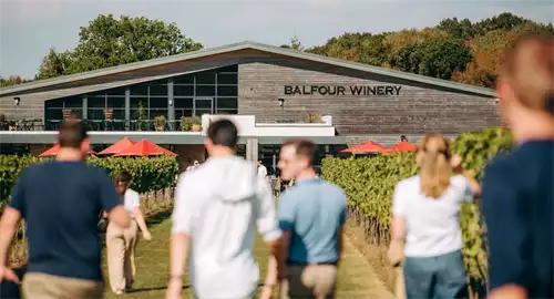 Balfour Winery