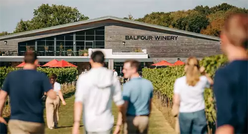 Balfour Winery Christmas Parties 2026