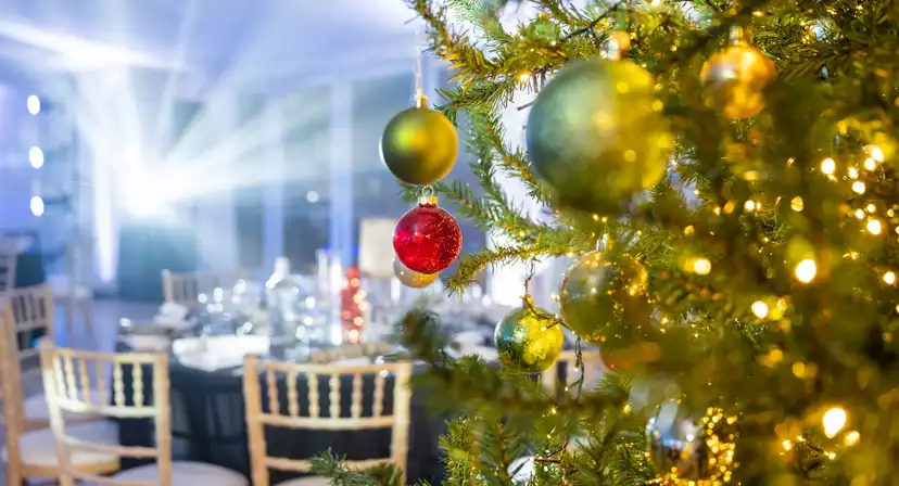 Hylands Estate Christmas Parties 2026