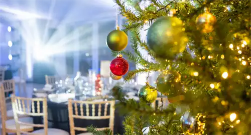 Hylands Estate Christmas Parties 2026