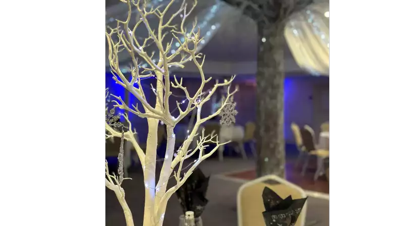 Best Western Chilworth Manor Christmas Parties 2026