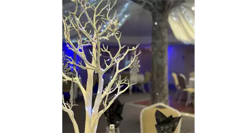 Best Western Chilworth Manor Christmas Parties 2026