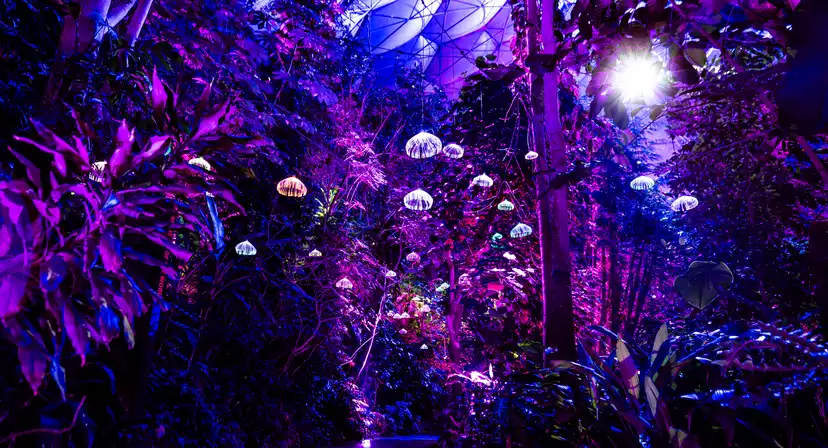 Eden Project Christmas Parties 2026
