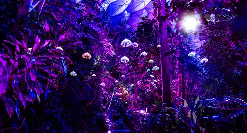 Eden Project Christmas Parties 2026