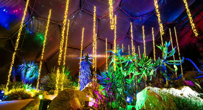 Eden Project Christmas Parties 2026