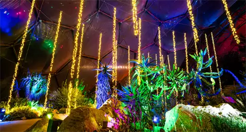 Eden Project Christmas Parties 2026