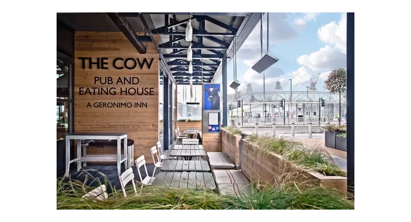 The Cow