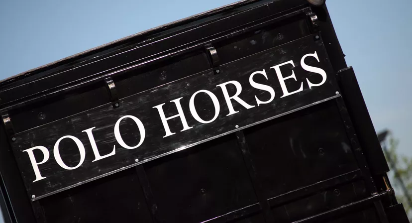 Royal County of Berkshire Polo Club