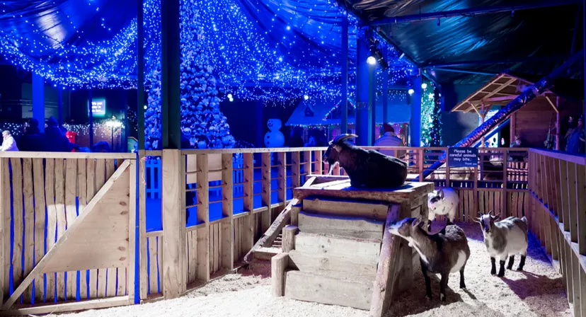 venue