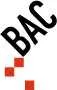 BAC (Battersea Arts Centre)