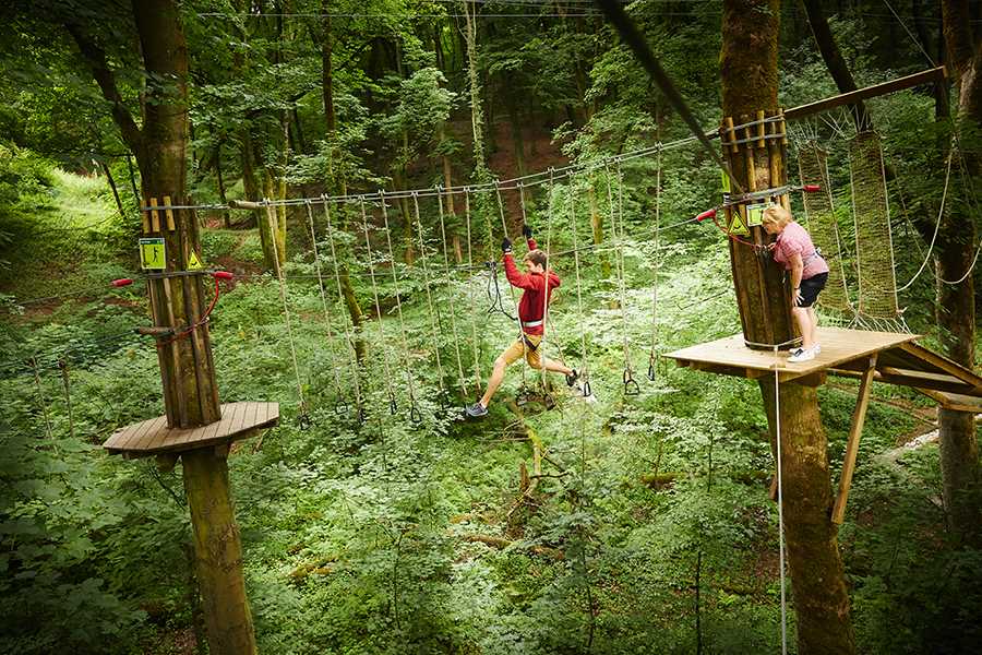 Go Ape Buxton | High Ropes Course Derbyshire, Zip Wire, Mini Ropes Course