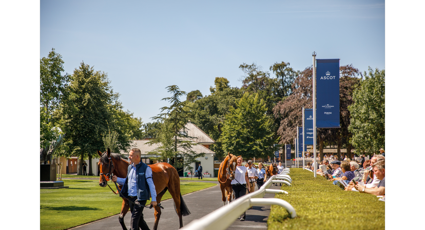 Ascot Racecourse | Corporate Hospitality, Parties & Private Dining Room