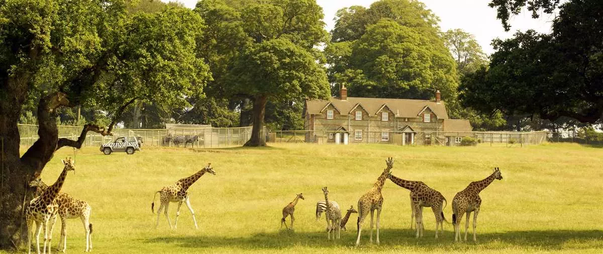 Longleat’s Luxury Accommodation Project Reveals Fascinating History of Estate Cottages