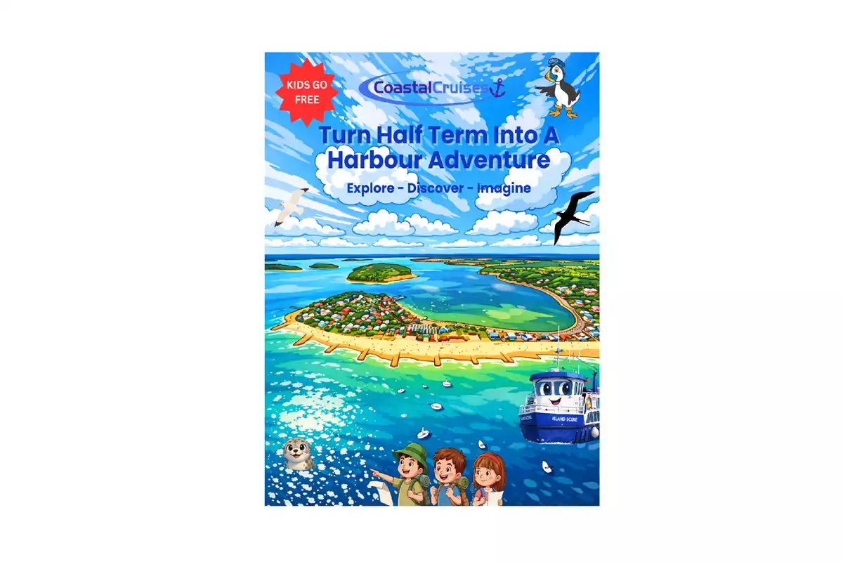 Wildlife Adventures in Poole Harbour A Half Term Treat for Curious Kids – Kids Go FREE